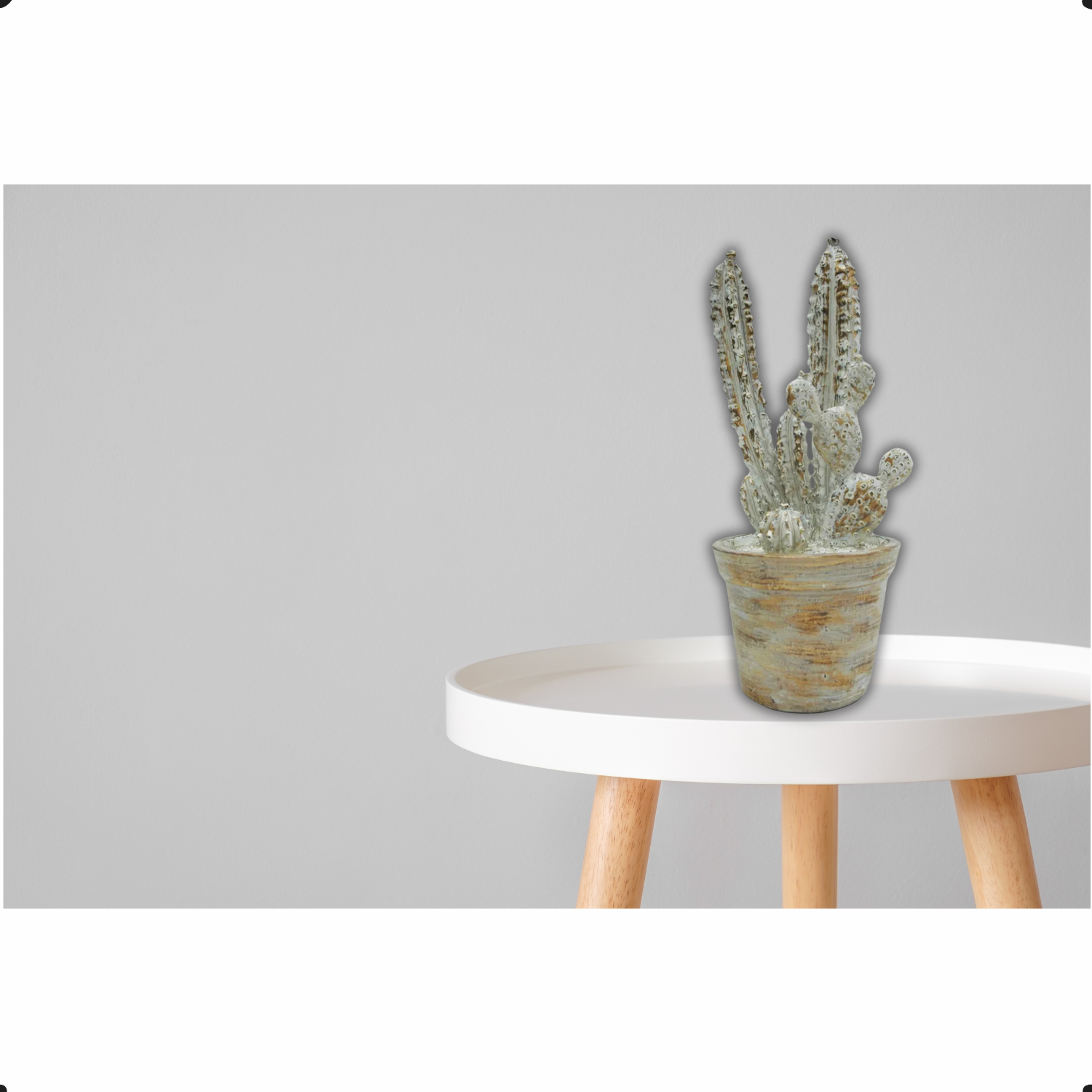 Cacto Decorativo Em Resina Mar Na0792 Btc