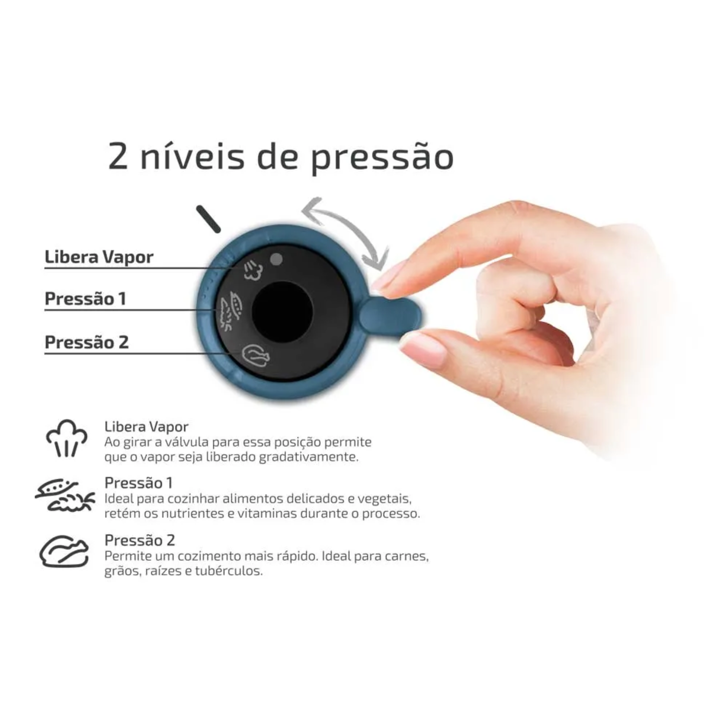 Panela Pressao Inox Rochedo 08L P2584404 ...