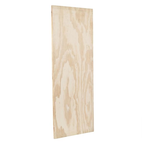 Porta Lisa Pintura 210X80