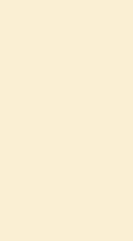 Revestimento 32X60 Tradizionale Beige Ret...